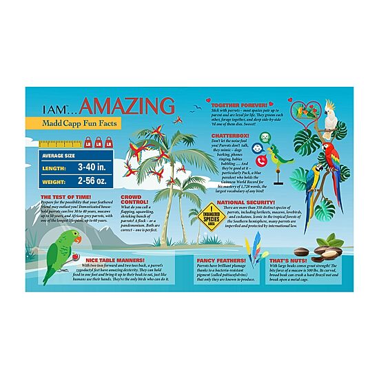 Madd Capp Parrot 300 Piece Jigsaw Puzzle