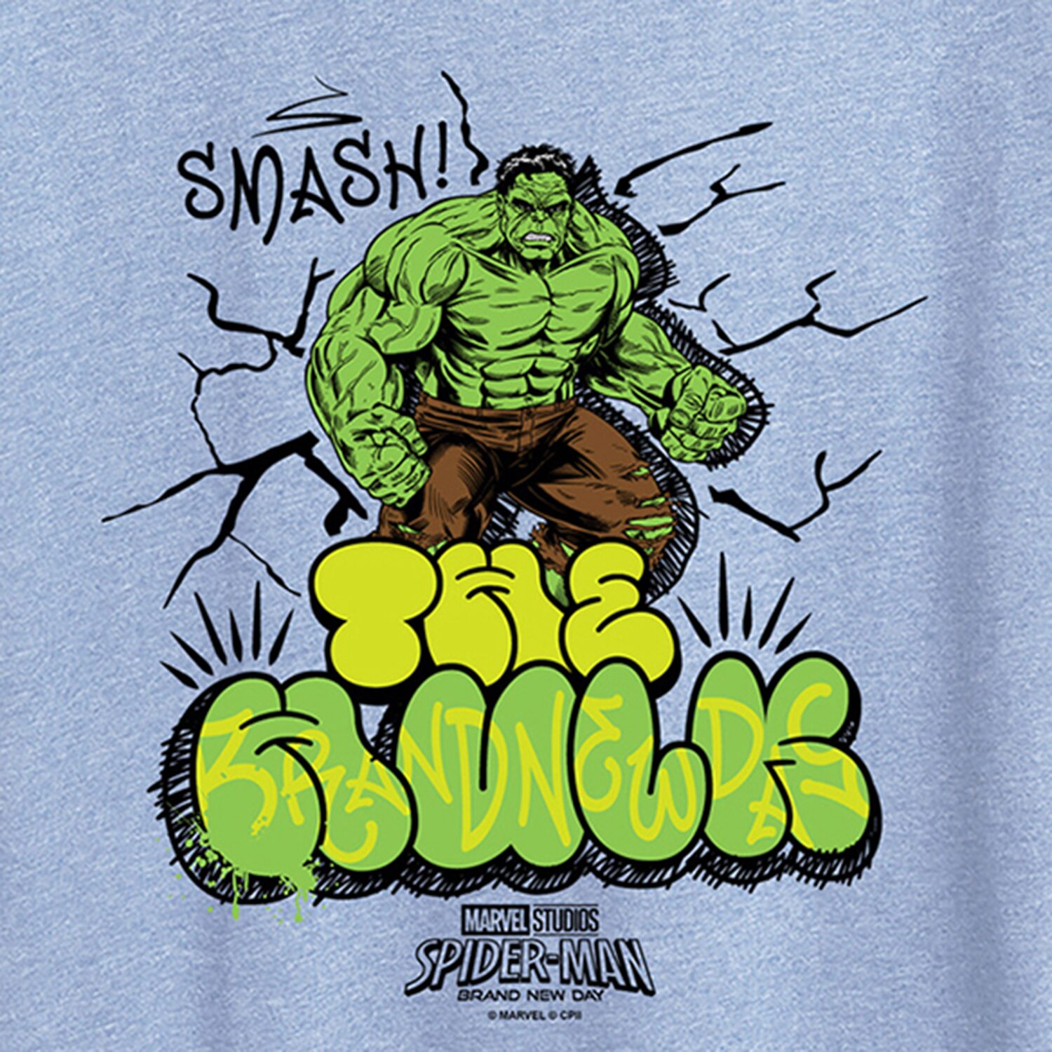 Brand New Day The Hulk Womens Crew Neck Short Sleeve Regular Fit Spiderman Graphic T-Shirt