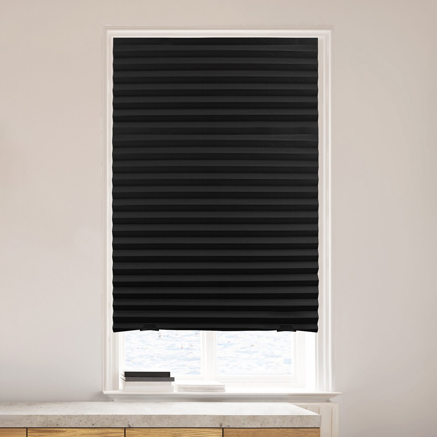 Lumi Home Furnishings Temporary Cordless Blackout Pleated Shade