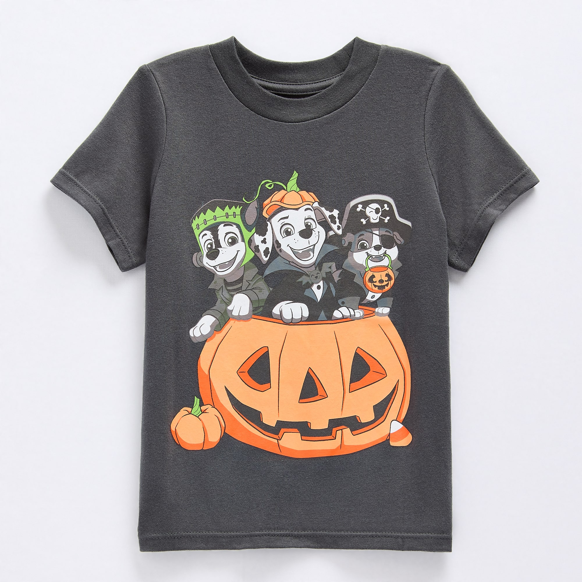Grayson Little Toddler Boys Crew Neck Short Sleeve Relaxed Fit Paw Patrol Graphic T-Shirt