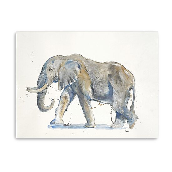 Lumaprints Elephant Canvas Giclee Canvas Art