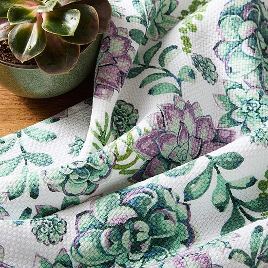 Town And Country Succulents 3-pc. Kitchen Towel Set