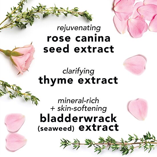 Mario Badescu Mini Rosewater Facial Spray