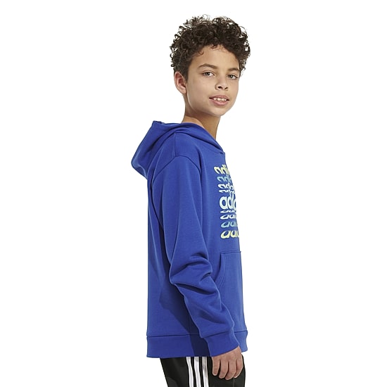adidas Little Boys Long Sleeve Active Hoodie