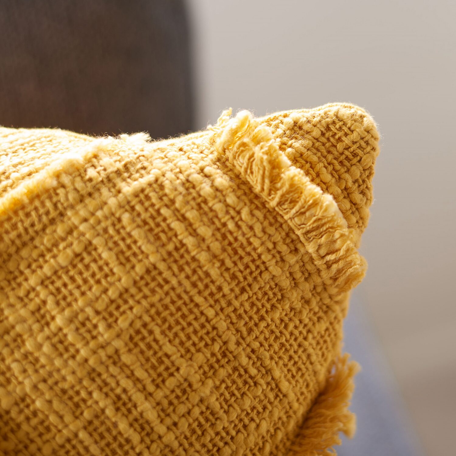 Safavieh Ashlin Square Throw Pillow