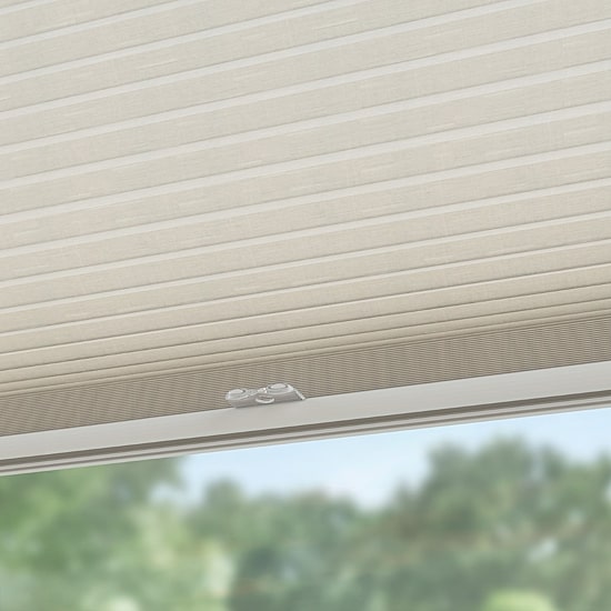 LEVOLOR Cambrica Custom Cordless Blackout Cellular Shade