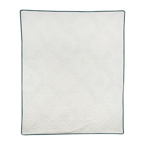 Donna Sharp Cacti Ucc Washable Throw