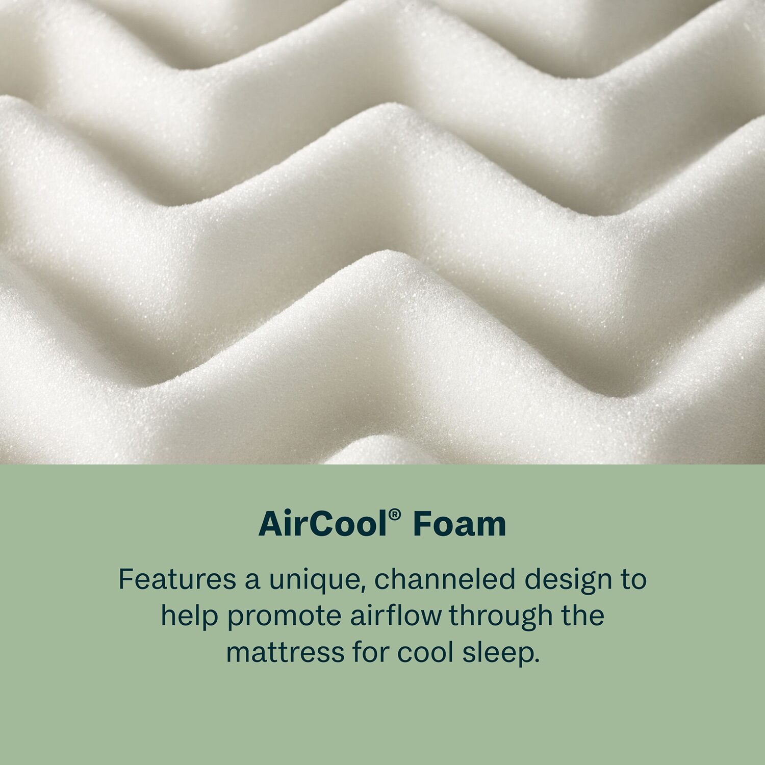 BeautySleep Dream Weaver 13.75" Plush Tight Top - Mattress + Adjustable Base