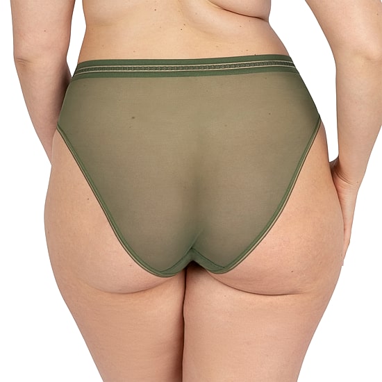 Curvy Couture Sheer Mesh High Cut Brief - 1635