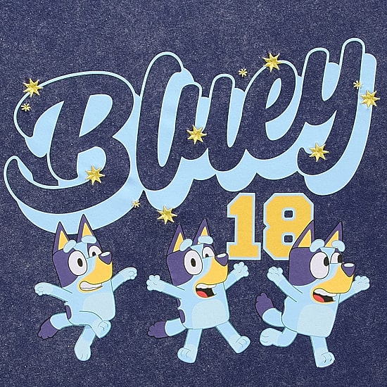 Bluey Boyfriend Tee Womens Juniors Crew Neck Short Sleeve Loose Fit Bluey Graphic T-Shirt