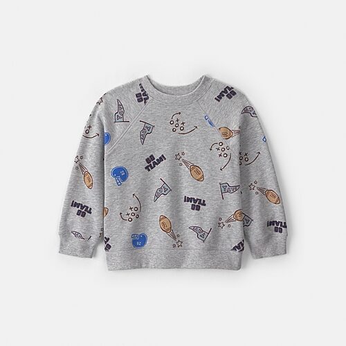 Carter's Babies' Toddler Boys Crew Neck Long Sleeve Sweatshirt In Gray