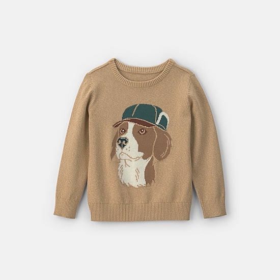 Carter's Little & Big Kid Boys Crew Neck Long Sleeve Pullover Sweater