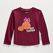 Okie Dokie Toddler & Little Girls Round Neck Long Sleeve Classic Fit Graphic T-Shirt