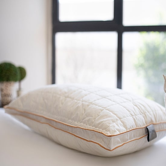 Depera Home Down Alternative Bed Pillow