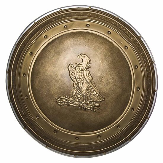 Womens DC Comics Wonder Woman Dawn Of Justice Shield Costume Accessory