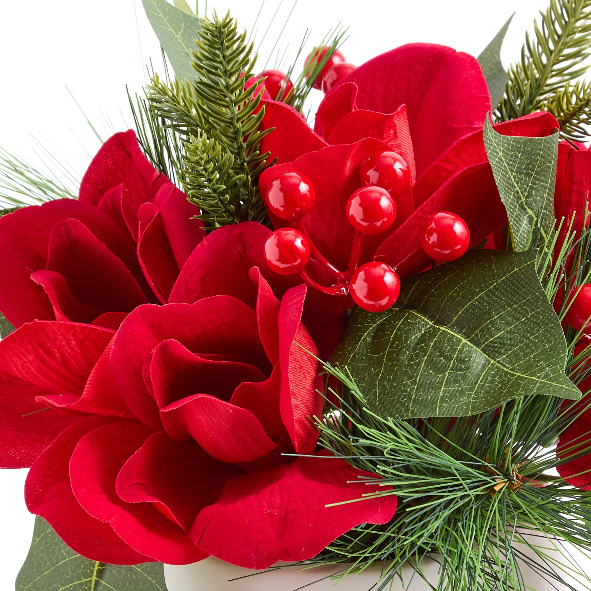 Martha Stewart 10" Amaryllis Arangement Floral Arrangement