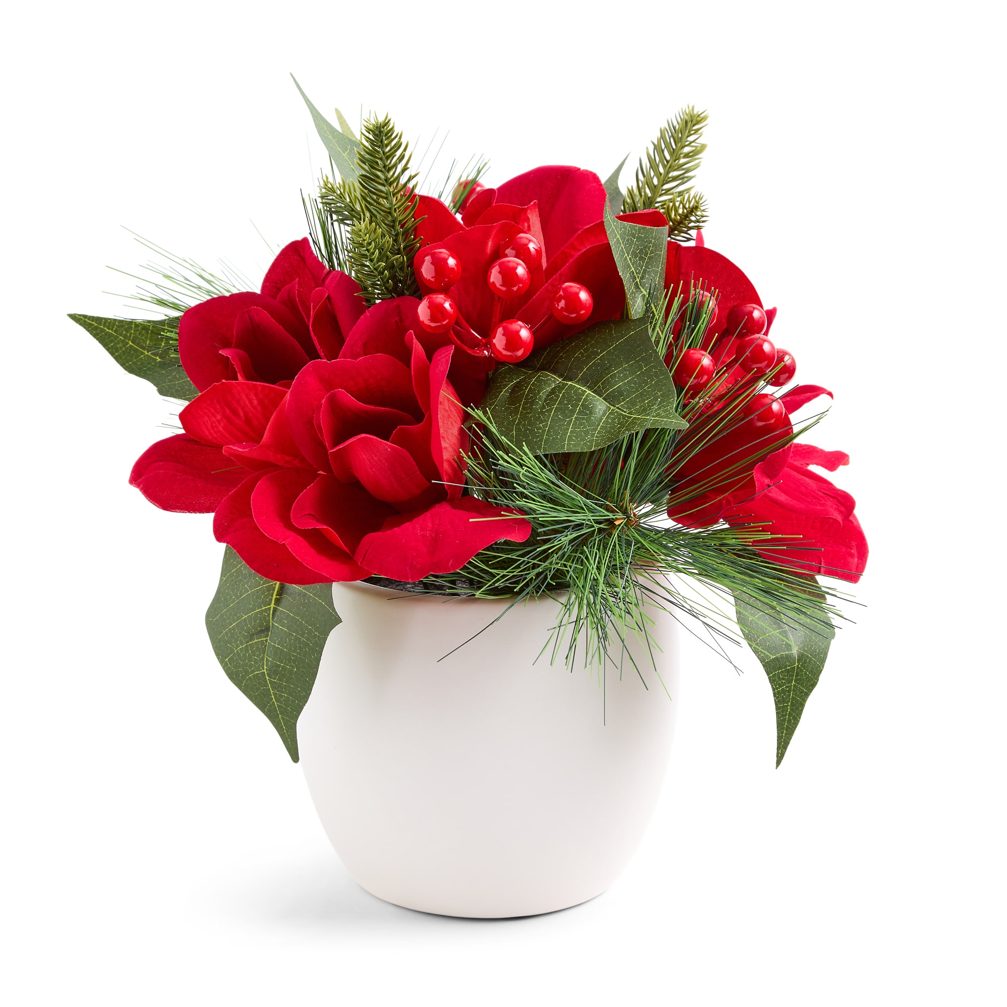 Martha Stewart 10" Amaryllis Arangement Floral Arrangement