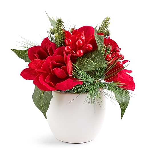 Martha Stewart 10" Amaryllis Arangement Floral Arrangement