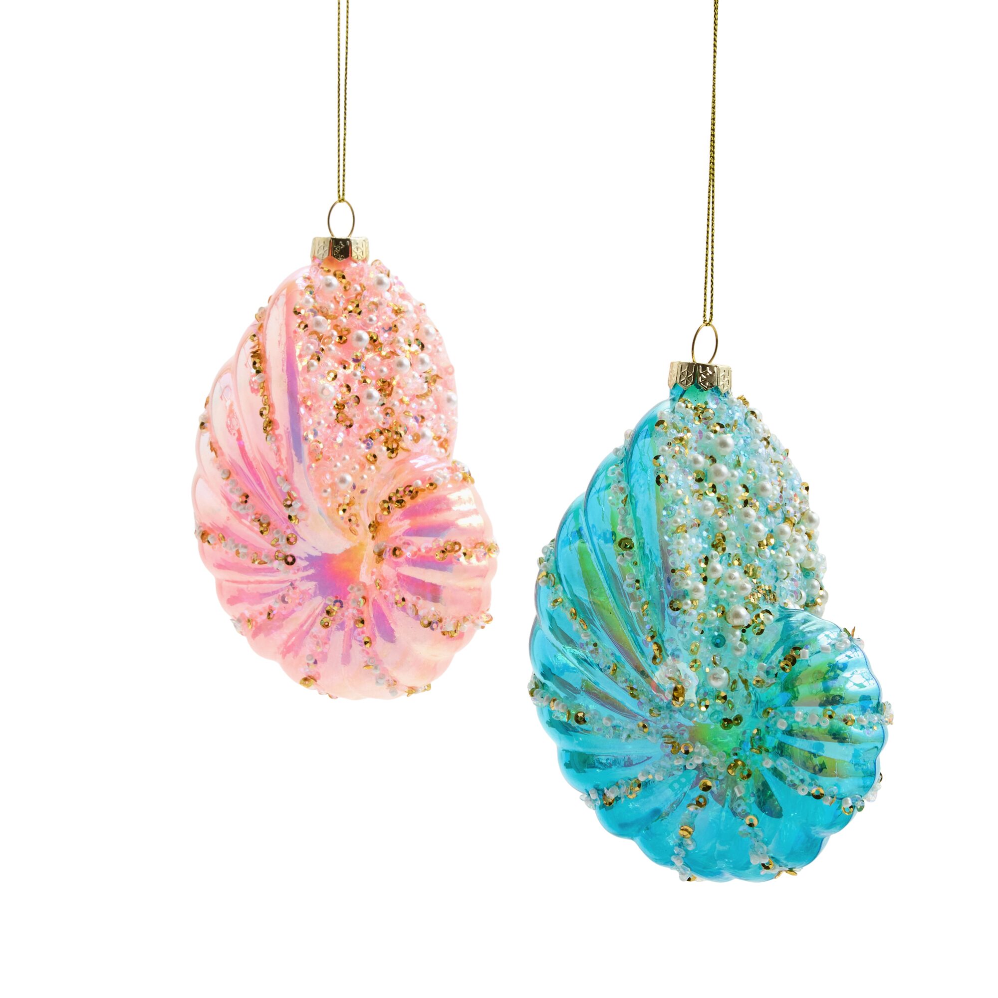 North Pole Trading Co. Nautilus Shell Blue And Pink 2-pc. Christmas Ornament
