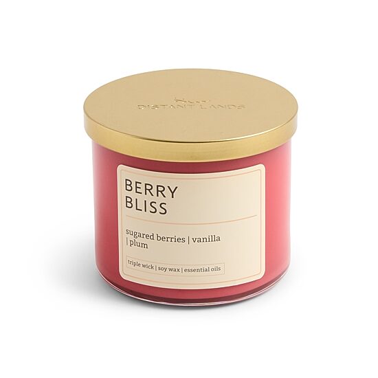 Distant Lands 14oz Berry Bliss 3-Wick Scented Jar Candle