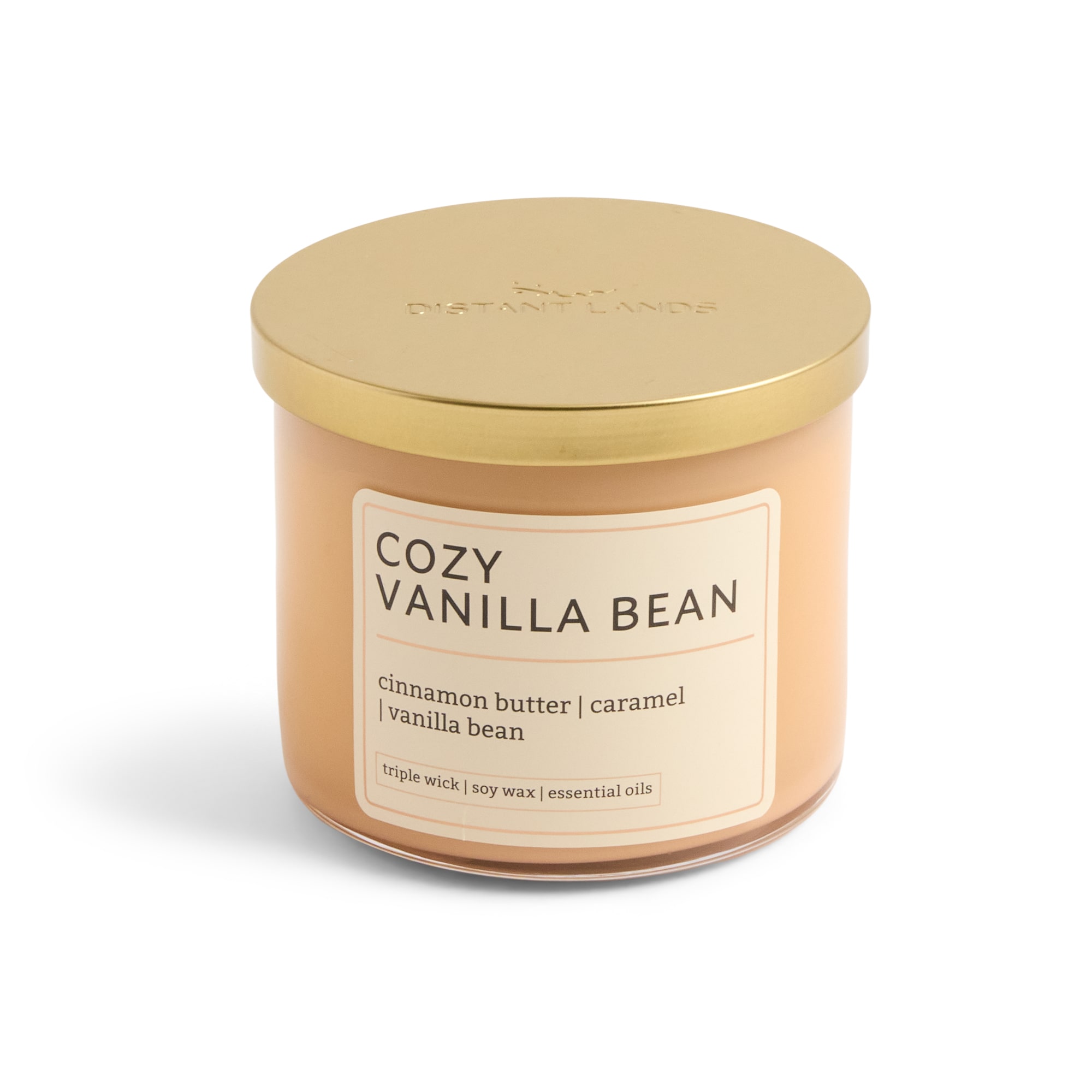 Distant Lands 14oz Cozy Vanilla Bean 3-Wick Scented Jar Candle