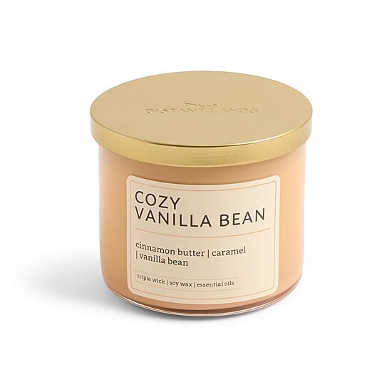 Distant Lands 14oz Cozy Vanilla Bean 3-Wick Scented Jar Candle