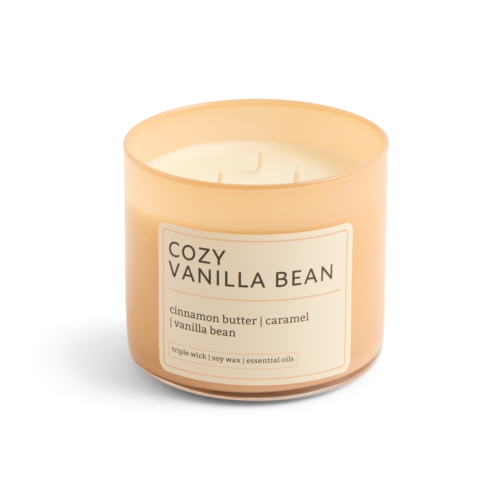 Distant Lands 14oz Cozy Vanilla Bean 3-Wick Scented Jar Candle