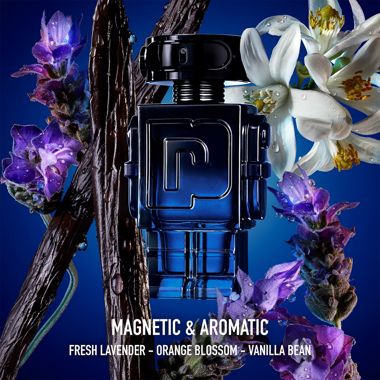 Rabanne