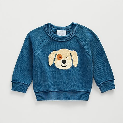 Okie Dokie Baby Boys Round Neck Long Sleeve Pullover Sweater, 24 Months, Blue