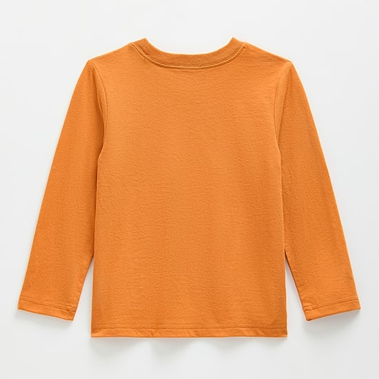 Okie Dokie Toddler & Little Boys Crew Neck Long Sleeve T-Shirt