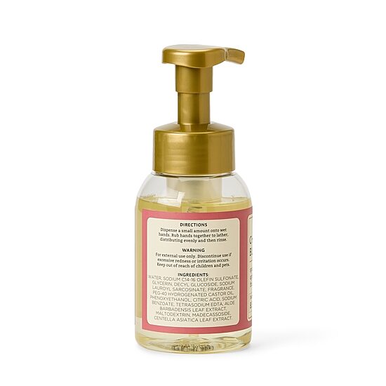 Distant Lands 8 oz. Champagne Blush Hand Soap
