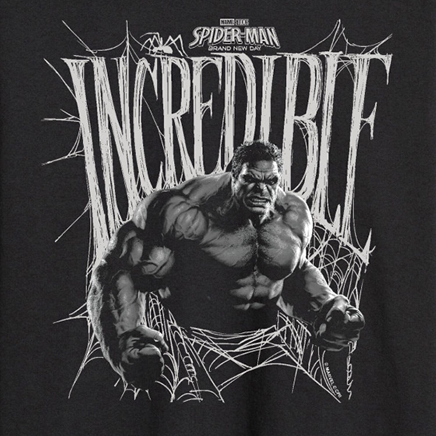 Brand New Day Incredible Hulk Mens Crew Neck Long Sleeve Regular Fit Graphic T-Shirt