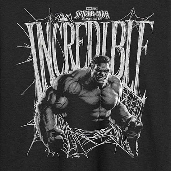 Brand New Day Incredible Hulk Mens Crew Neck Long Sleeve Regular Fit Hulk Graphic T-Shirt