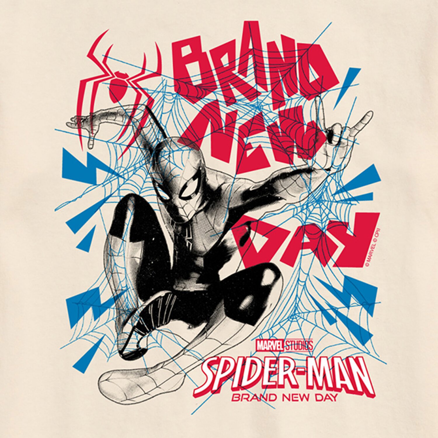 Brand New Day Mens Crew Neck Short Sleeve Regular Fit Spiderman Graphic T-Shirt