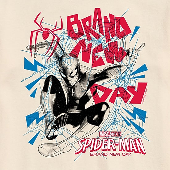 Brand New Day Mens Crew Neck Short Sleeve Regular Fit Spiderman Graphic T-Shirt