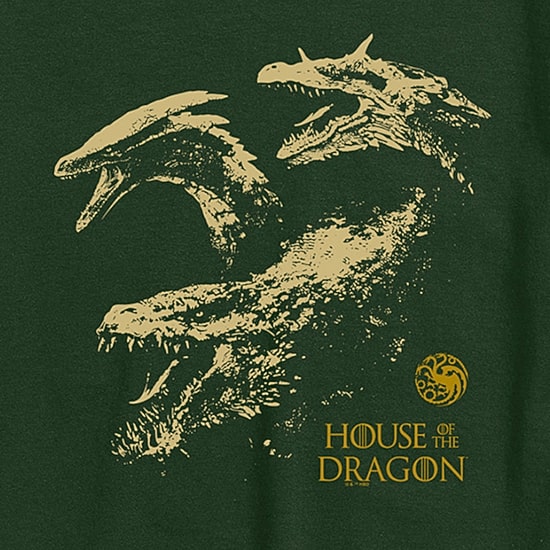 House Of The Dragon Mens Crew Neck Short Sleeve Regular Fit Graphic T-Shirt