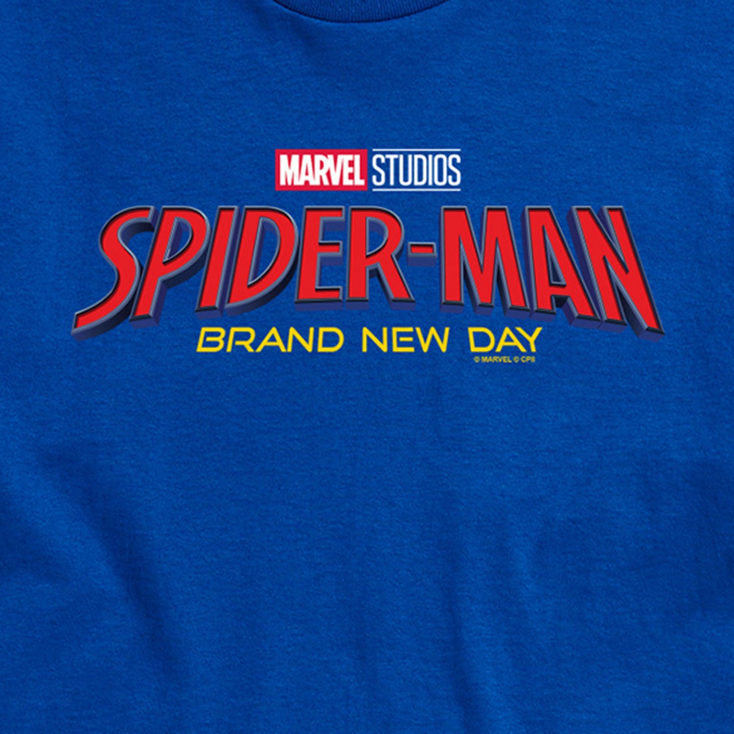 Brand New Day Logo Mens Crew Neck Short Sleeve Regular Fit Spiderman Graphic T-Shirt