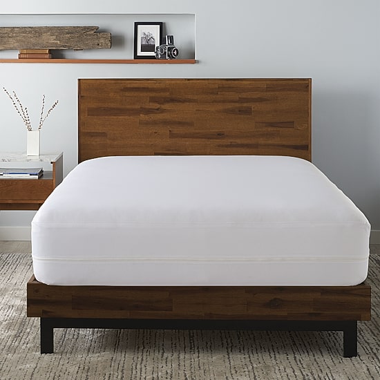 Ella Jayne Allergy Free Zipper Mattress or Box Spring Encasement, 15IN to 18IN Depth