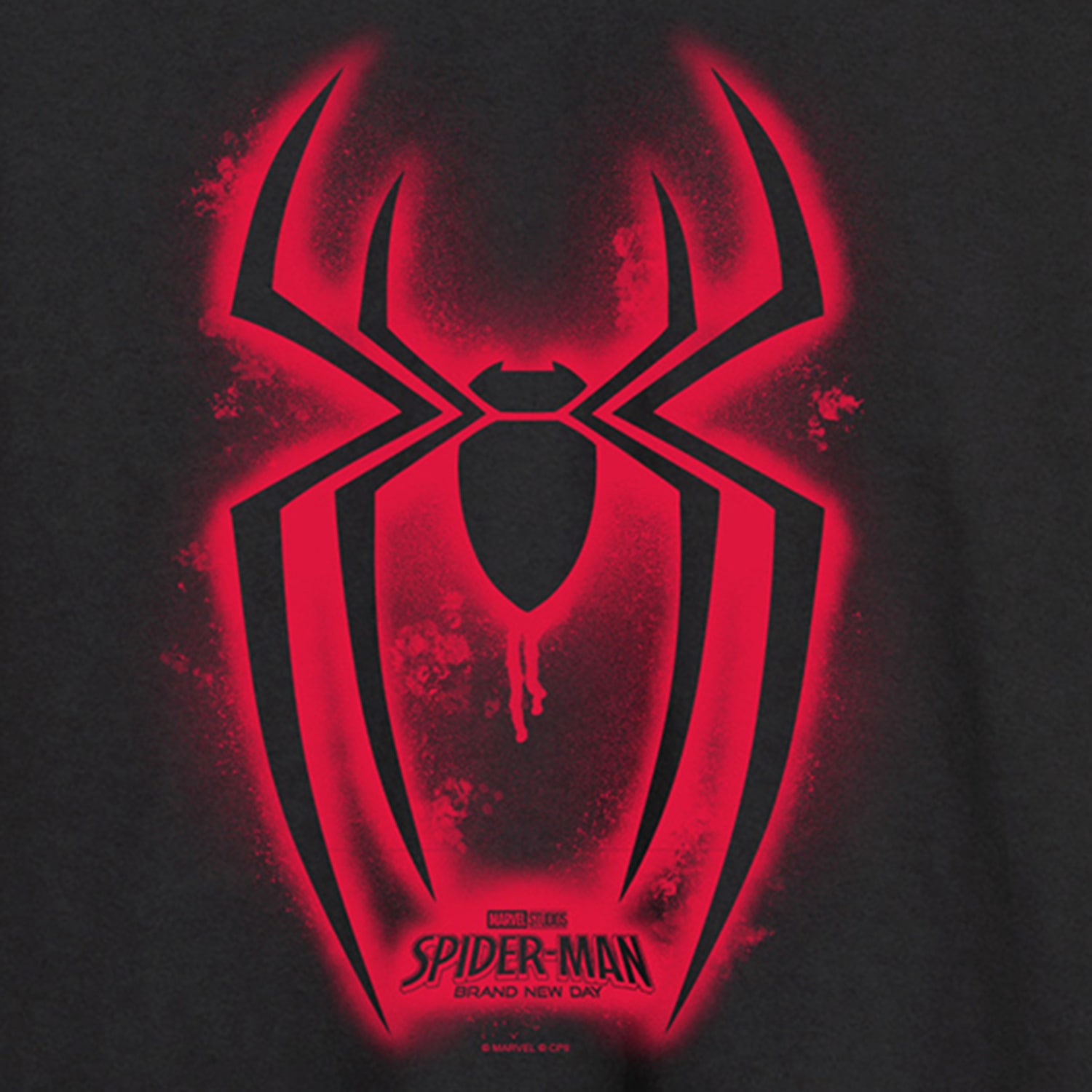 Brand New Day Spraypaint Spider Mens Crew Neck Long Sleeve Regular Fit Spiderman Graphic T-Shirt