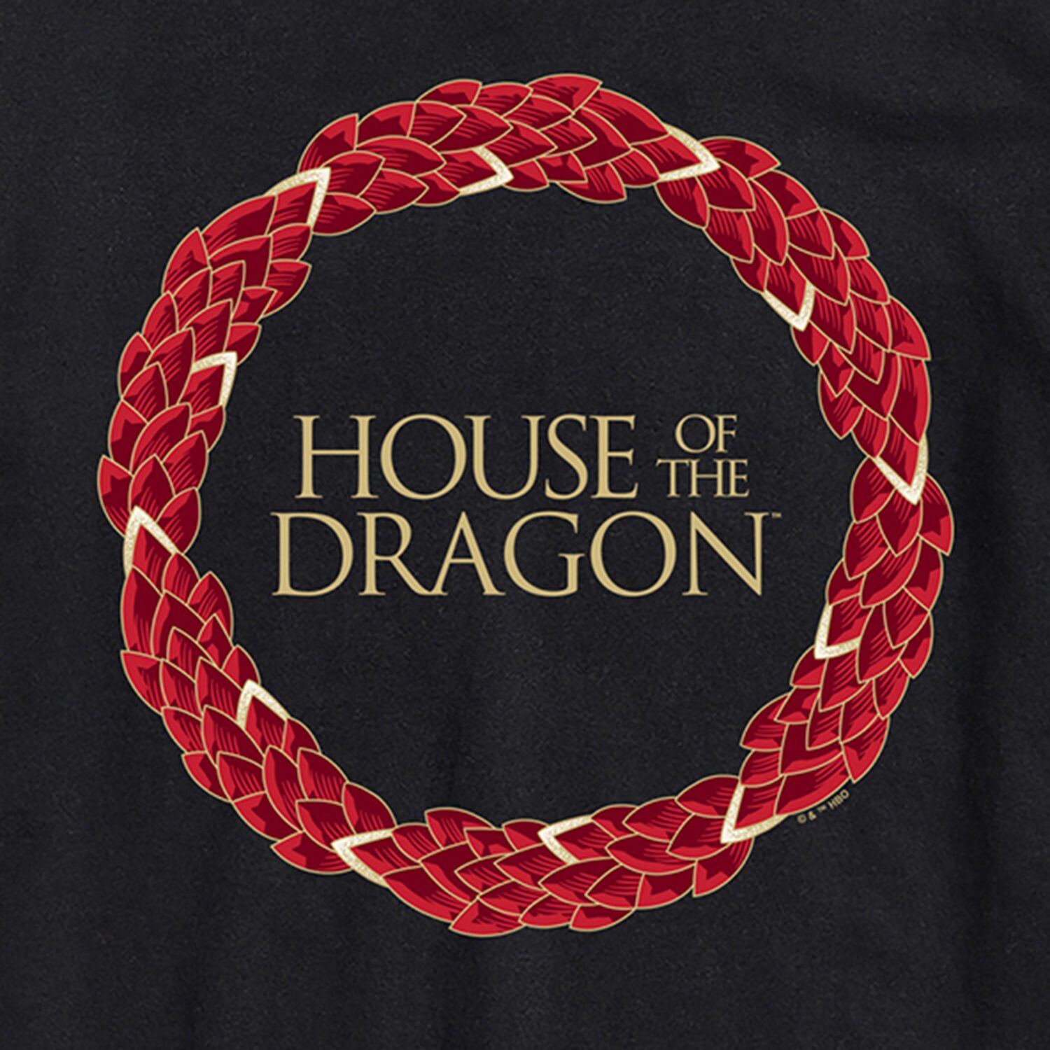 House Of Dragons Scale Logo Mens Crew Neck Short Sleeve Regular Fit Graphic T-Shirt