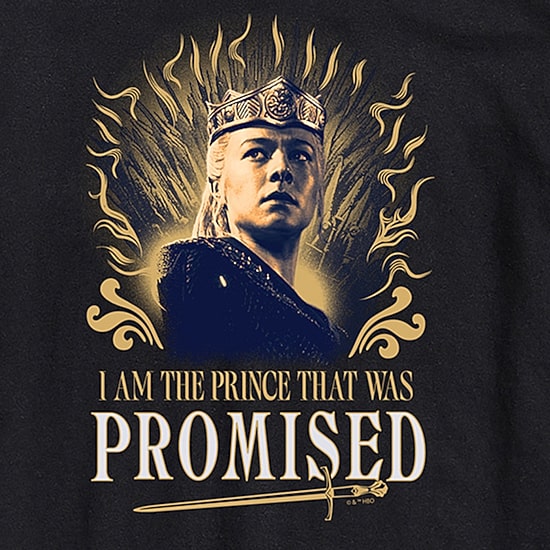 House Of Dragons Prince That Was Promised Mens Crew Neck Short Sleeve Regular Fit Graphic T-Shirt