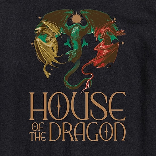 House Of Dragons Logo Mens Crew Neck Short Sleeve Regular Fit Graphic T-Shirt