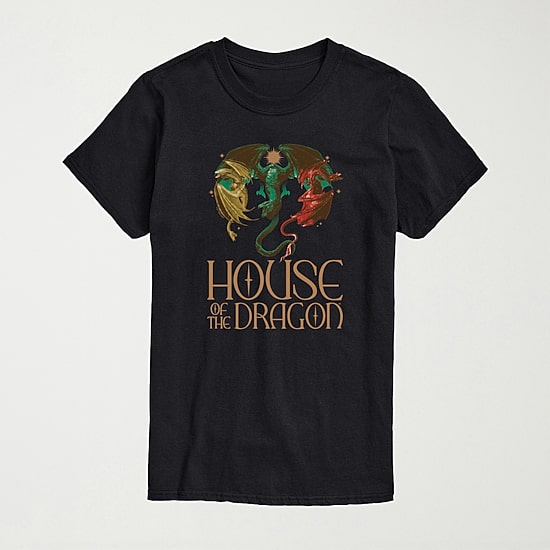 House Of Dragons Logo Mens Crew Neck Short Sleeve Regular Fit Graphic T-Shirt