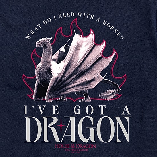 I Have A Dragon Mens Crew Neck Short Sleeve Regular Fit Big and Tall Graphic T-Shirt