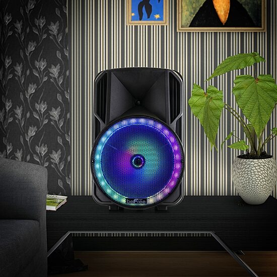 Befree Sound Portable Speaker