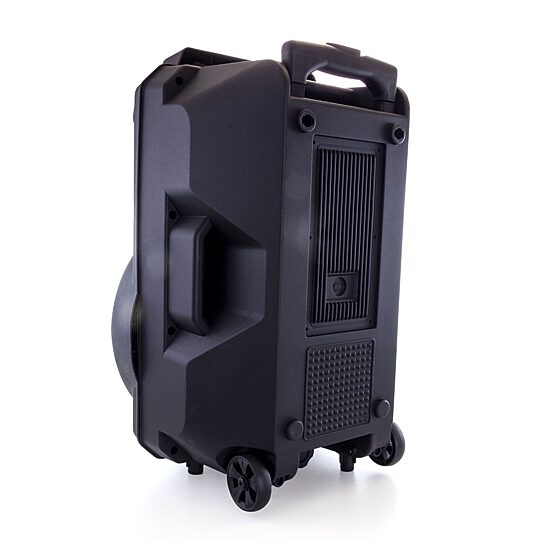 Befree Sound Portable Speaker