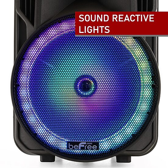Befree Sound Portable Speaker