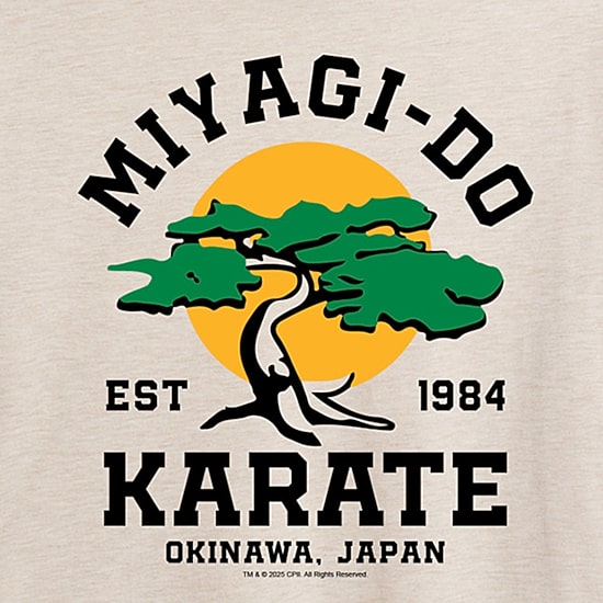 Karate Kid Miyagi Tee Womens Juniors Crew Neck Short Sleeve Oversized Graphic T-Shirt