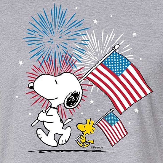 Woodstock Flag Cropped Womens Juniors Crew Neck Short Sleeve Regular Fit Peanuts Snoopy Graphic T-Shirt