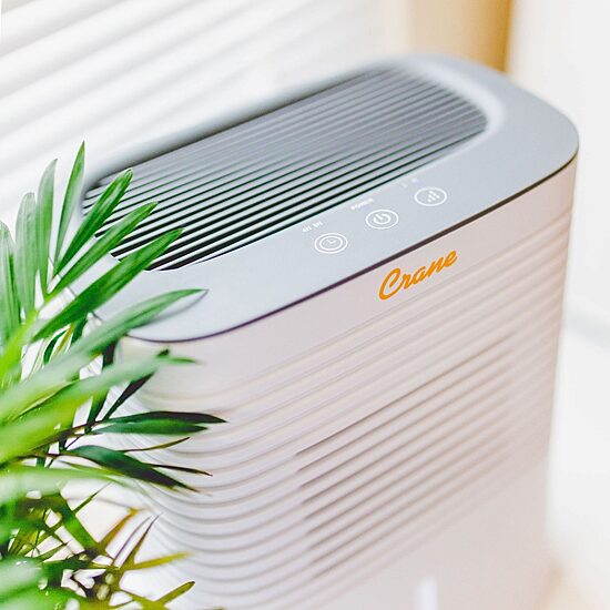 Crane Compact 4 Pint Dehumidifier